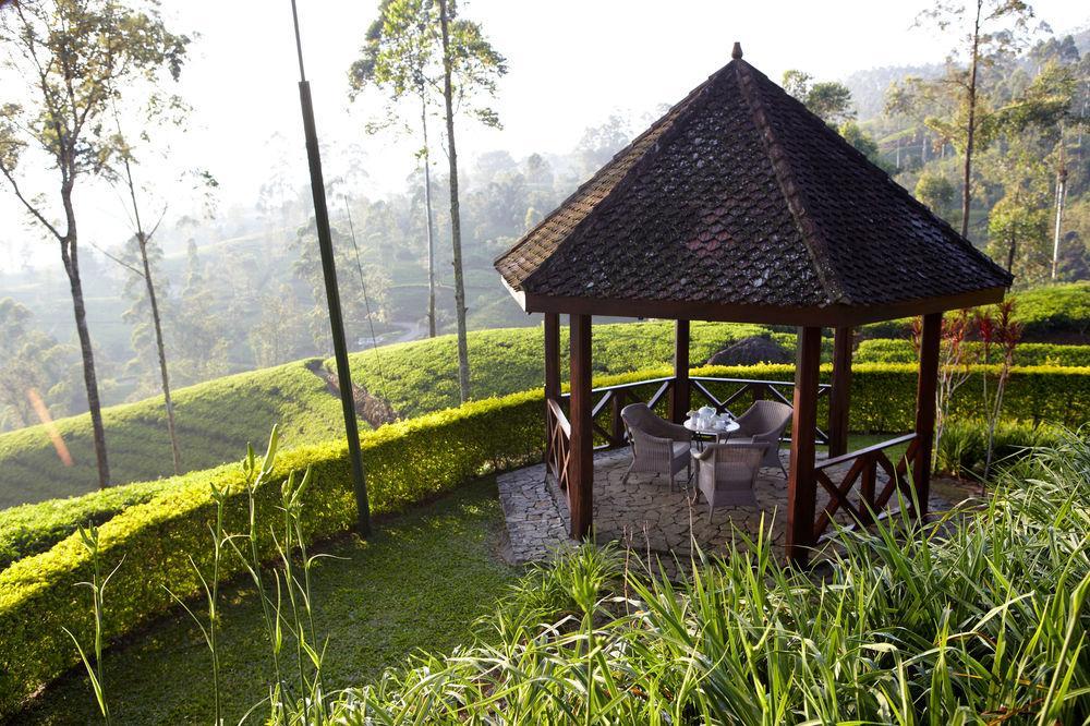 Ceylon Tea Trails Hotel Norwood Buitenkant foto