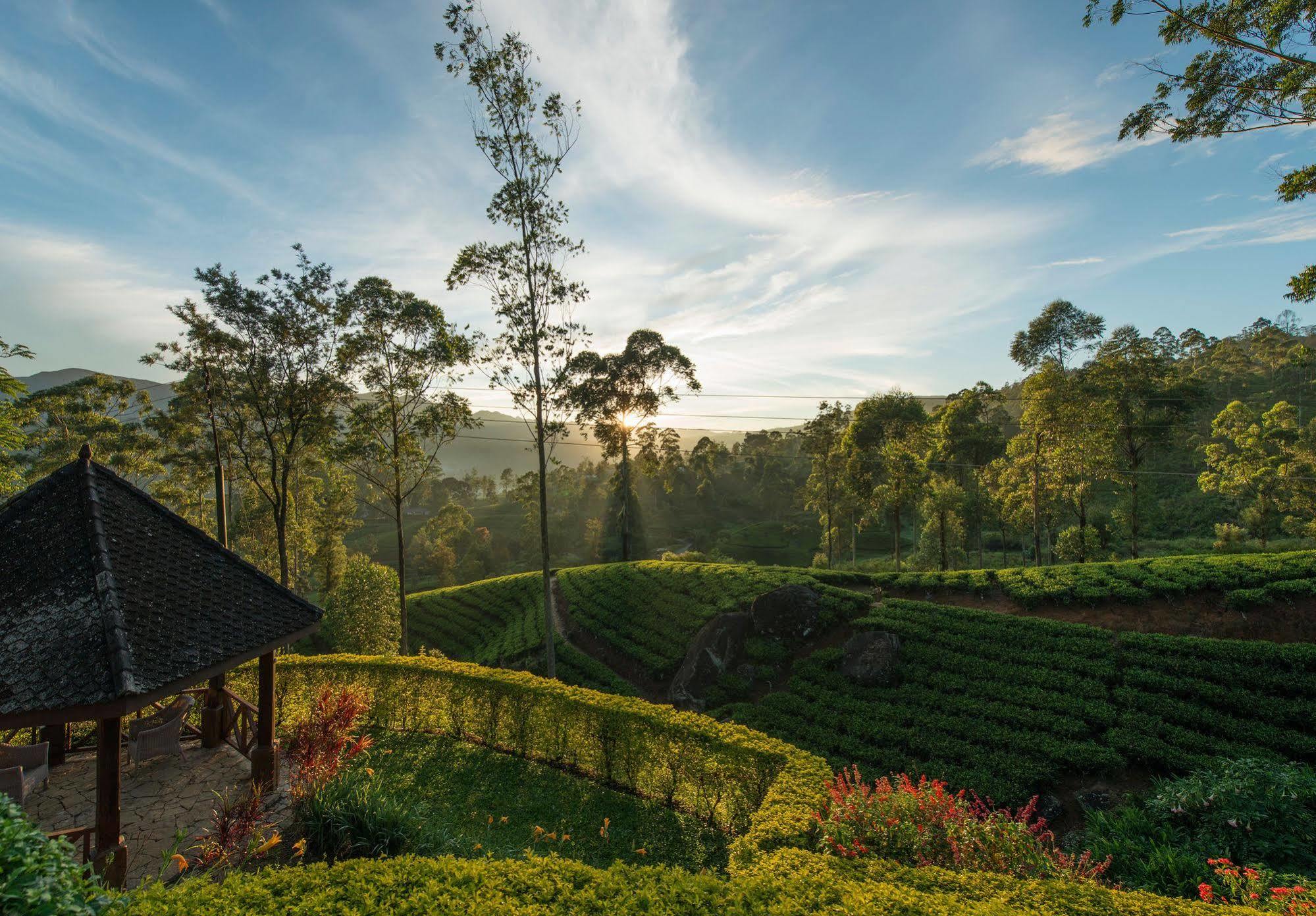 Ceylon Tea Trails Hotel Norwood Buitenkant foto