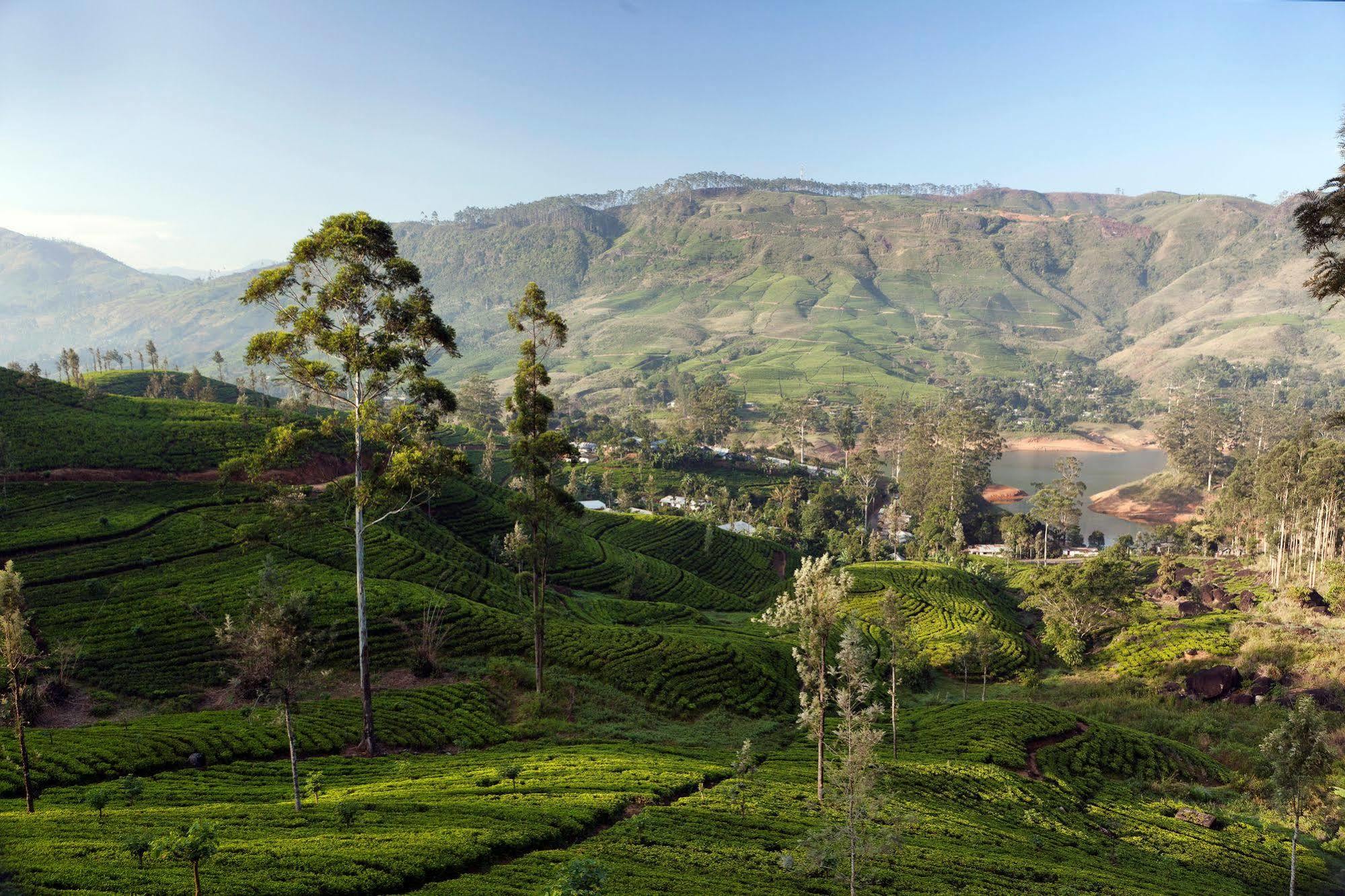 Ceylon Tea Trails Hotel Norwood Buitenkant foto