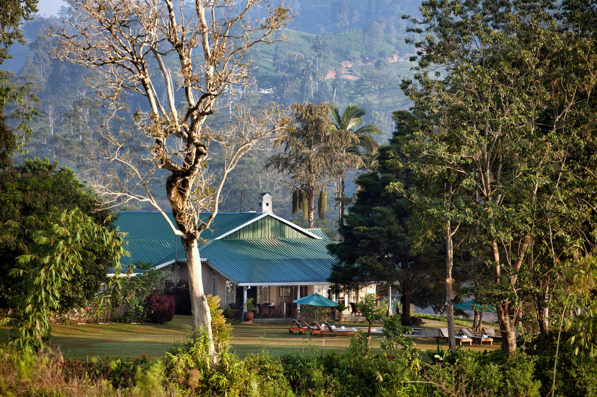 Ceylon Tea Trails Hotel Norwood Buitenkant foto